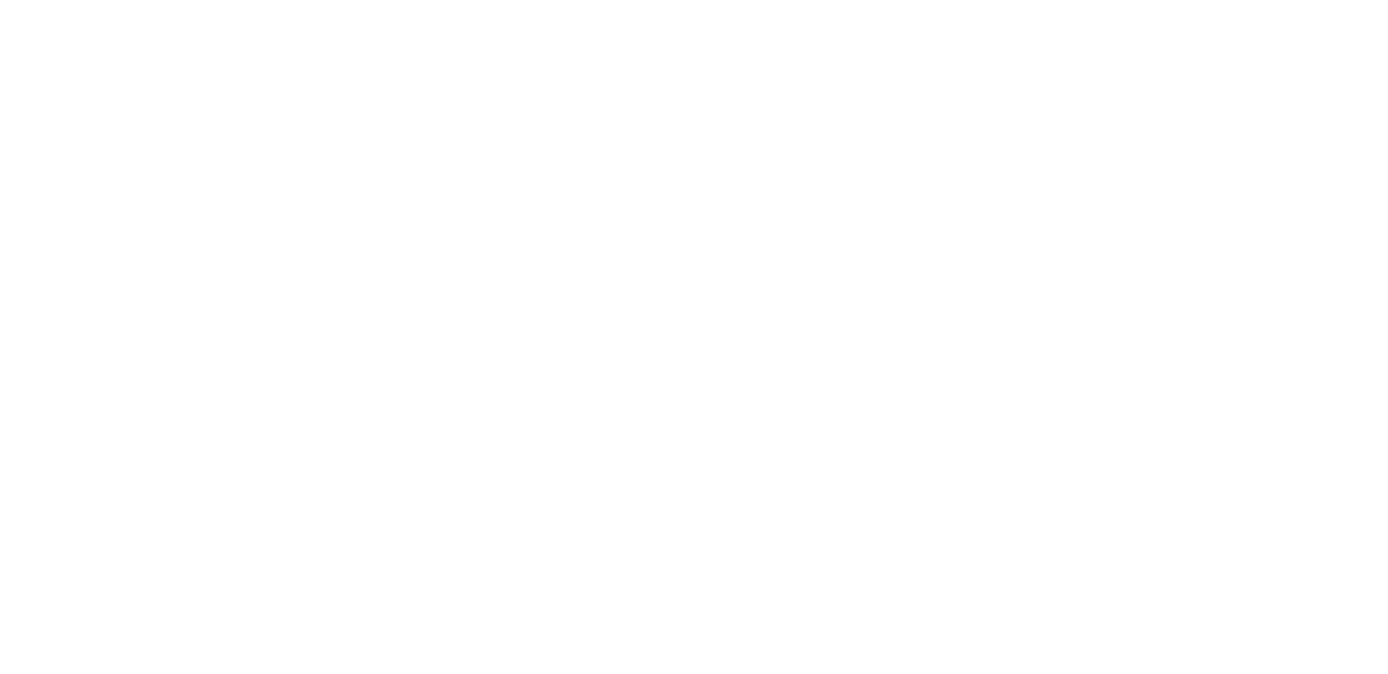 Burdeos Camelot